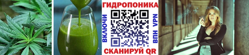 Canna-Cookies конопля  гидра ТОР  Дивногорск 