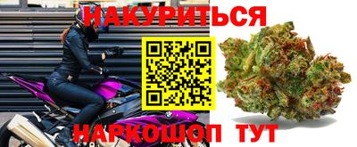 прущие грибы Ливны