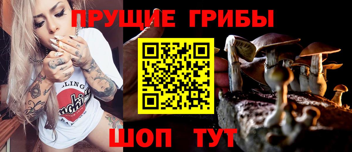 Псилоцибиновые грибы Cubensis  Вход с VPN  Дивногорск 