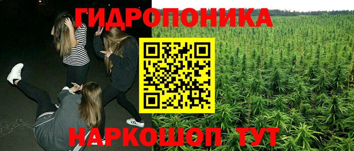 Марихуана OG Kush  Вход с VPN  Марихуана VHQ  МАРИХУАНА MAZAR  Дивногорск 